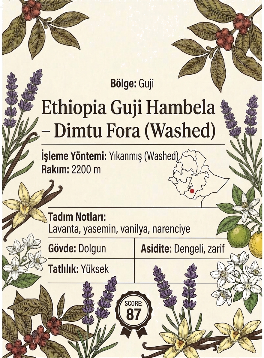 Ethiopia Guji Hambela – Dimtu Fora (Washed)